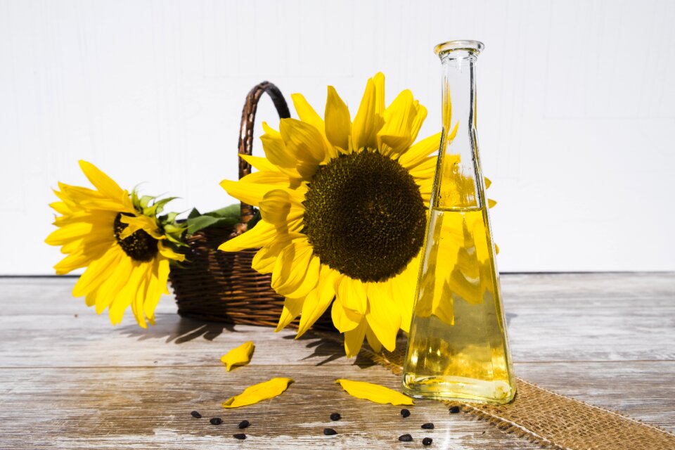 Food nutrition cook