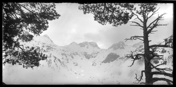 FRAC31555 67Fi126 - -Pyrénées. Montagnes-