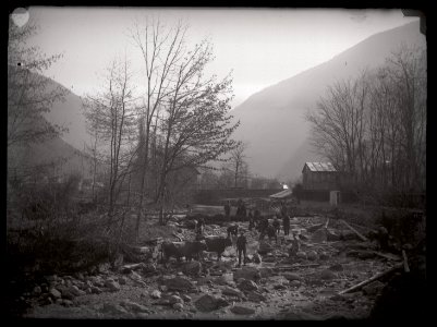 FRAC31555 67Fi159 - -Pyrénées. Chute de la Pique-