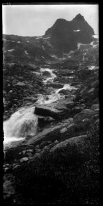 FRAC31555 67Fi112 - -Pyrénées. Torrent-
