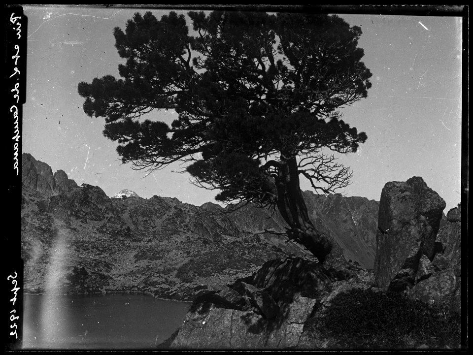 FRAC31555 67Fi12 - Pyrénées. Lac du Campana