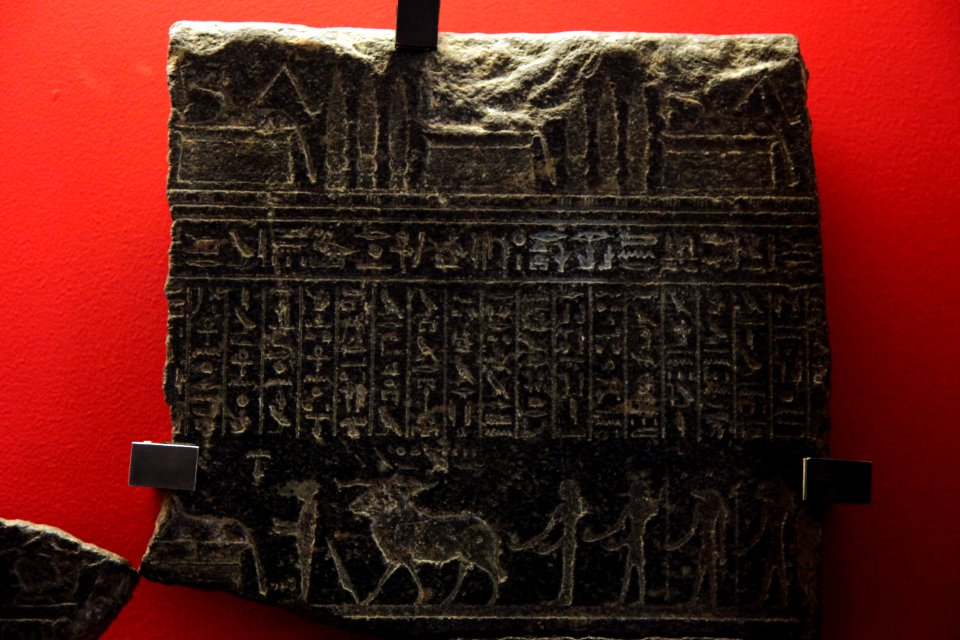 Fragment of sarcophage of Usermaatre-MAHG 18050-MAHG 27806-IMG 9689