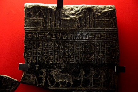 Fragment of sarcophage of Usermaatre-MAHG 18050-MAHG 27806-IMG 9689