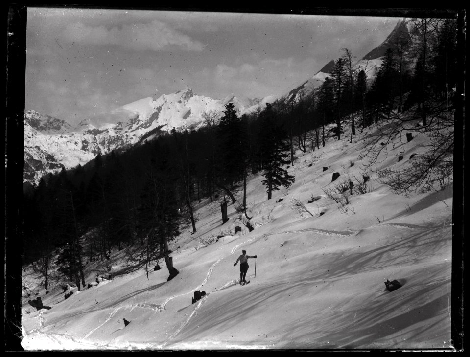 FRAC31555 67Fi46 - -Pyrénées. Paysage-