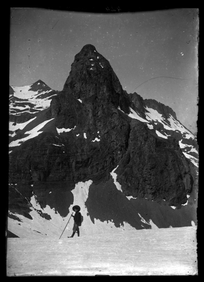 FRAC31555 67Fi73 - -Pyrénées. Paysage-