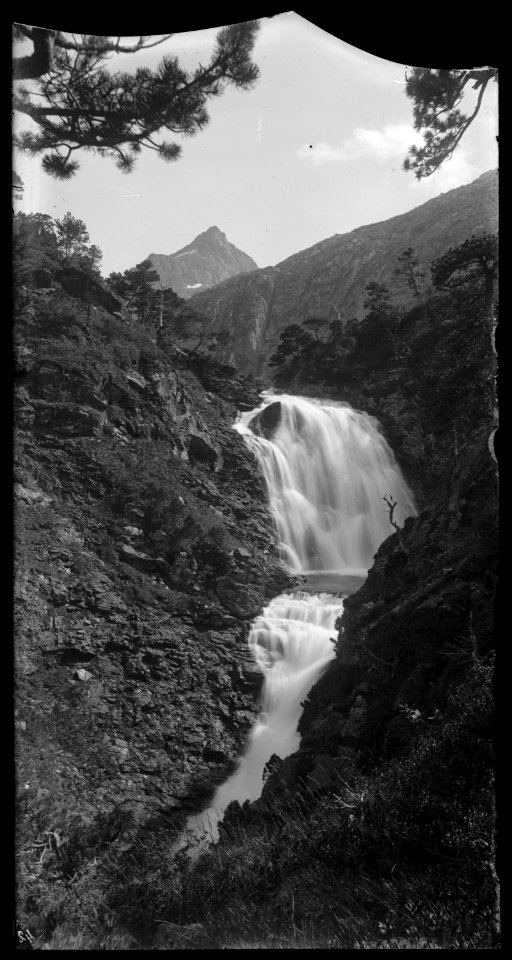 FRAC31555 67Fi80 - -Pyrénées. Cascade-