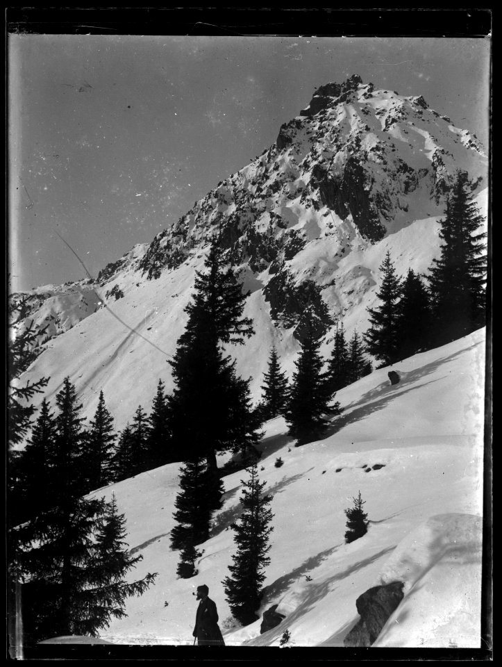 FRAC31555 67Fi27 - -Pyrénées-