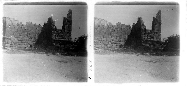 Fragments dels murs d ' un palau