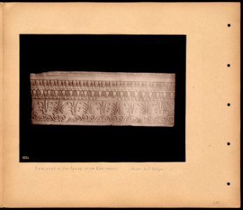 Fragment of freize sic of the Erectheion