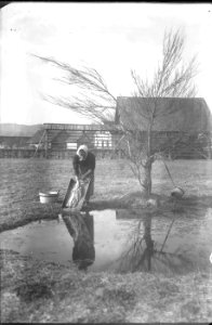 Fran Vesel - Kmetija (2) - Bizovik
