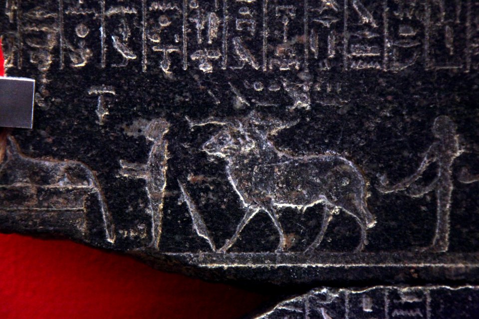 Fragment of sarcophage of Usermaatre-MAHG 18050-MAHG 27806-IMG 9688