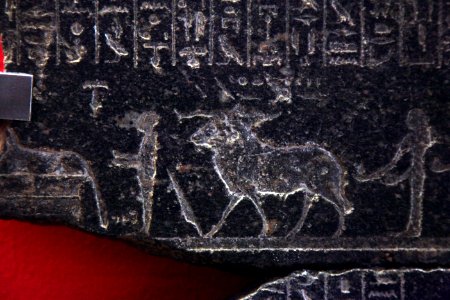 Fragment of sarcophage of Usermaatre-MAHG 18050-MAHG 27806-IMG 9688