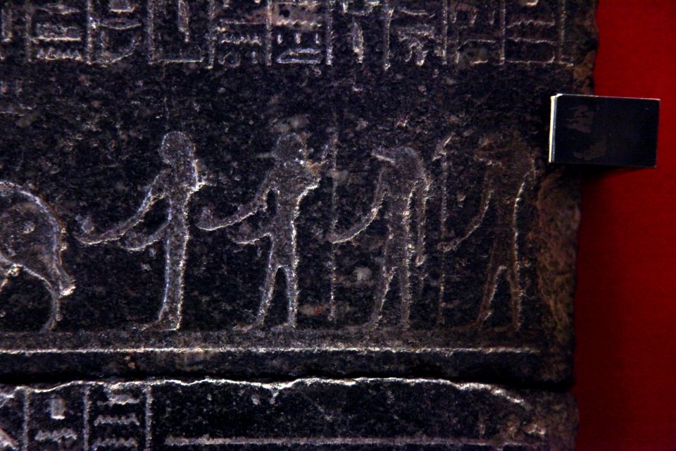 Fragment of sarcophage of Usermaatre-MAHG 18050-MAHG 27806-IMG 9687
