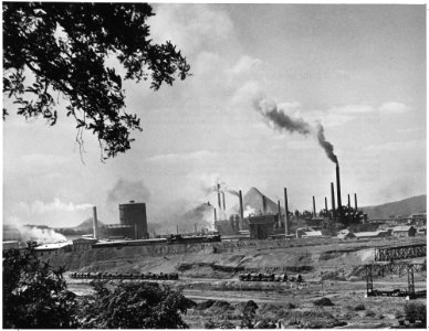 France. Shown here is the Voelklingen Iron and Steel Works, largest steel mill in the Saar. In addition to numerous... - NARA - 541686 photo