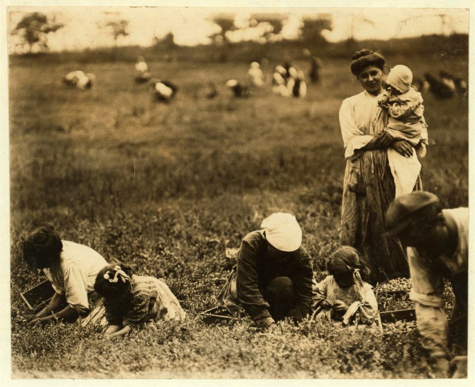 Frances Frigineto, 3 years old. Marie Frigineto, 5 years old, latter been picking two years. 711 Patchionk Ave., Philadelphia. Whites Bog, Brown Mills, N.J. This is the fourth week of school LOC nclc.05293