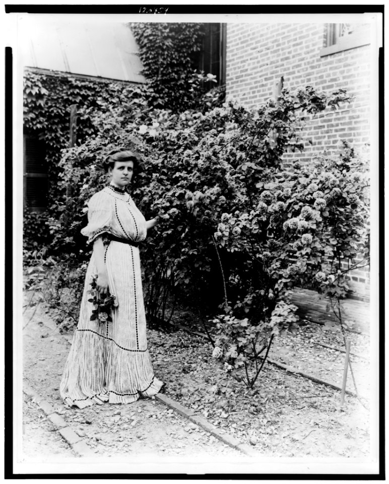 Frances Benjamin Johnston, full-length portrait, standing in her garden, by rose bushes, with some flowers in her hand, facing slightly right LCCN98506473