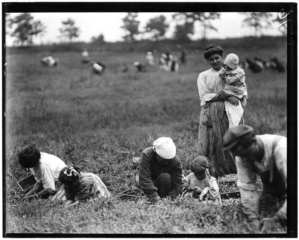 Frances Frigineto, 3 years old, Marie Frigineto, 5 years old, latter been picking two years. This is the fourth week... - NARA - 523261