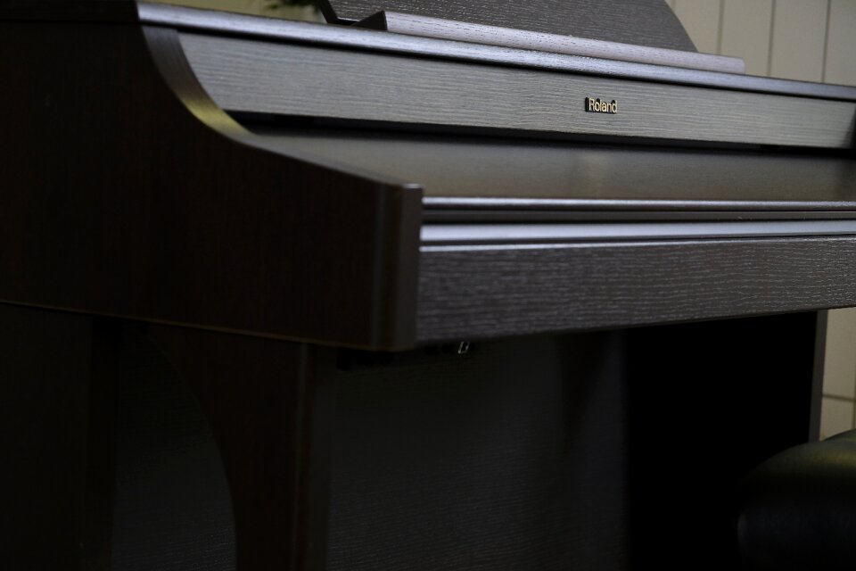 Musical instrument organ roland