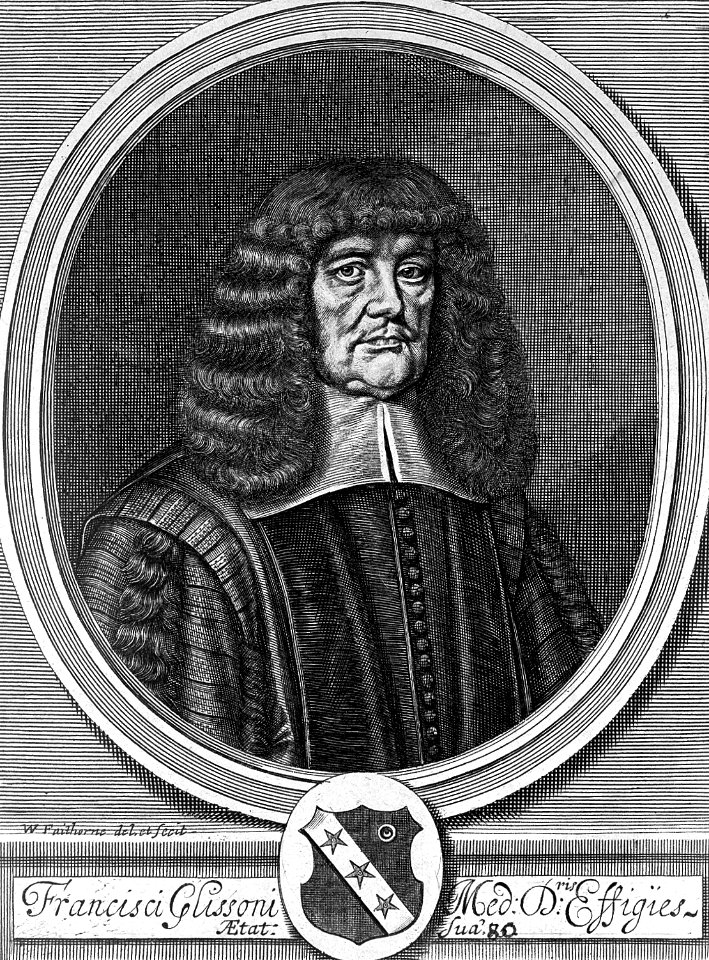 Francis Glisson
