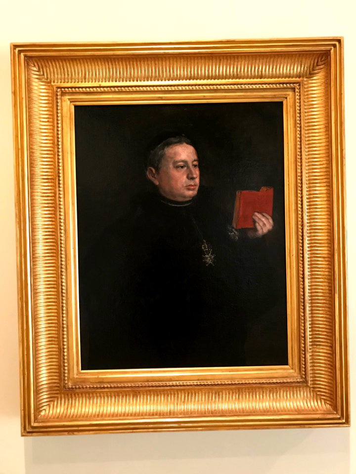 Francisco de Goya - Retrato del canónigo D. José Duaso