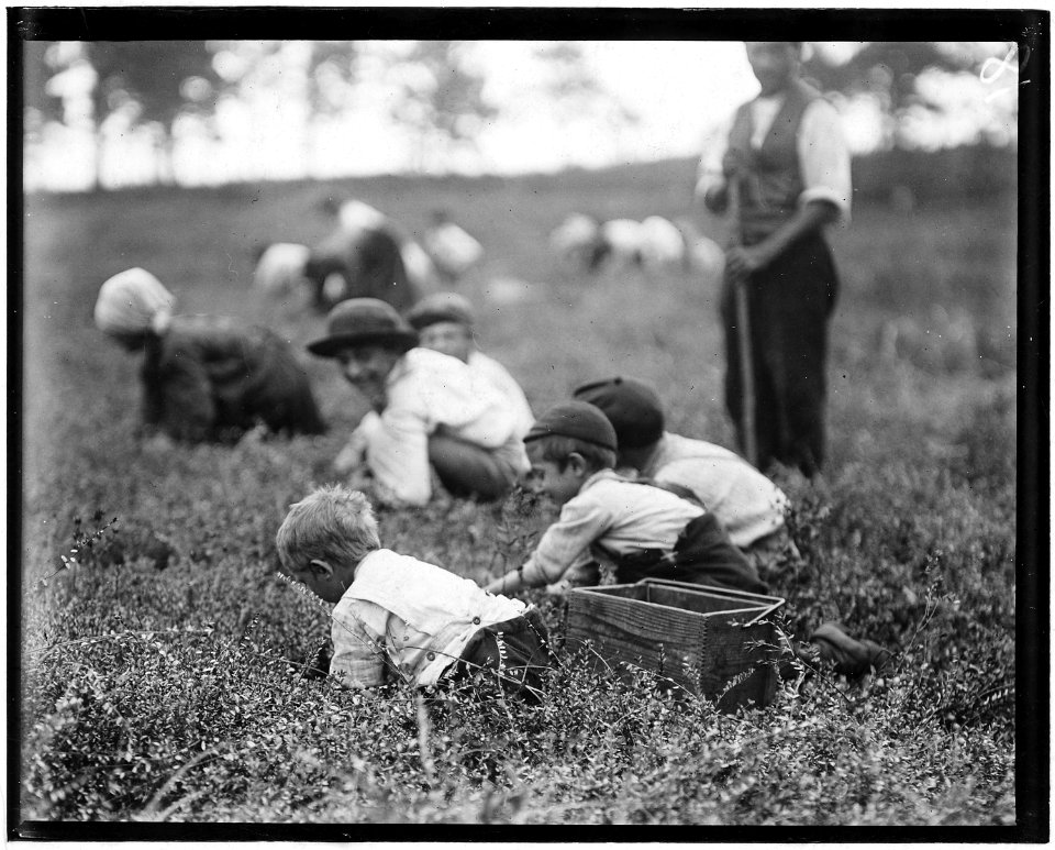 Frank Denato, 6 years old, Tom, 4 years old, and Domino, 12 years old, live in Philadelphia and padrone. Whites Bog.... - NARA - 523262