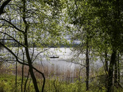 Boat spring mouse ears
