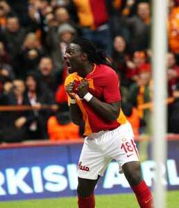 Lion football turk telekom
