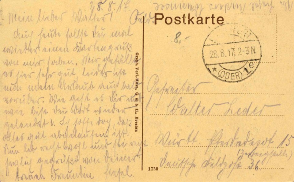 Frankfurt a. Oder, Brandenburg - Oder (back) (Zeno Ansichtskarten)