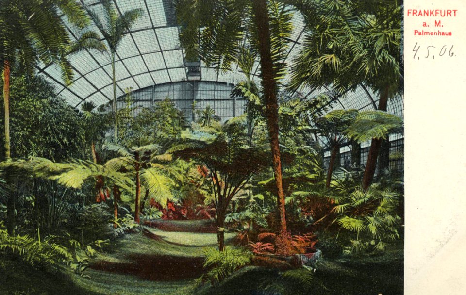 Frankfurt a. Main, Hessen - Palmenhaus (Zeno Ansichtskarten)