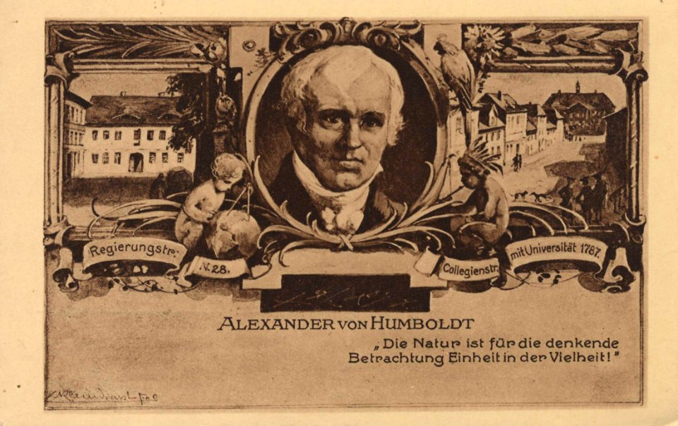 Frankfurt a. Oder, Brandenburg - Regierungstraße; Portrait Alexander von Humboldts; Collegienstraße mit Universität (Zeno Ansichtskarten)