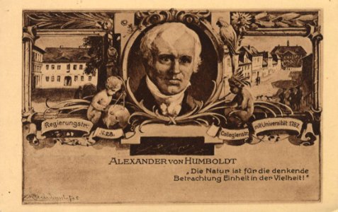 Frankfurt a. Oder, Brandenburg - Regierungstraße; Portrait Alexander von Humboldts; Collegienstraße mit Universität (Zeno Ansichtskarten)