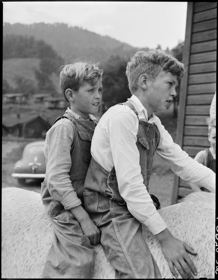 Franklin D. and Donald Sergent astride their mules. P V & K Coal Company, Clover Gap Mine, Lejunior, Harlan County... - NARA - 541319