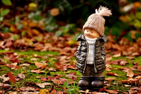 Forest autumn cold