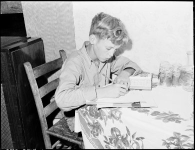 Franklin D. Sergent who is 13 years old and in the fifth grade does his homework - NARA - 541349 photo