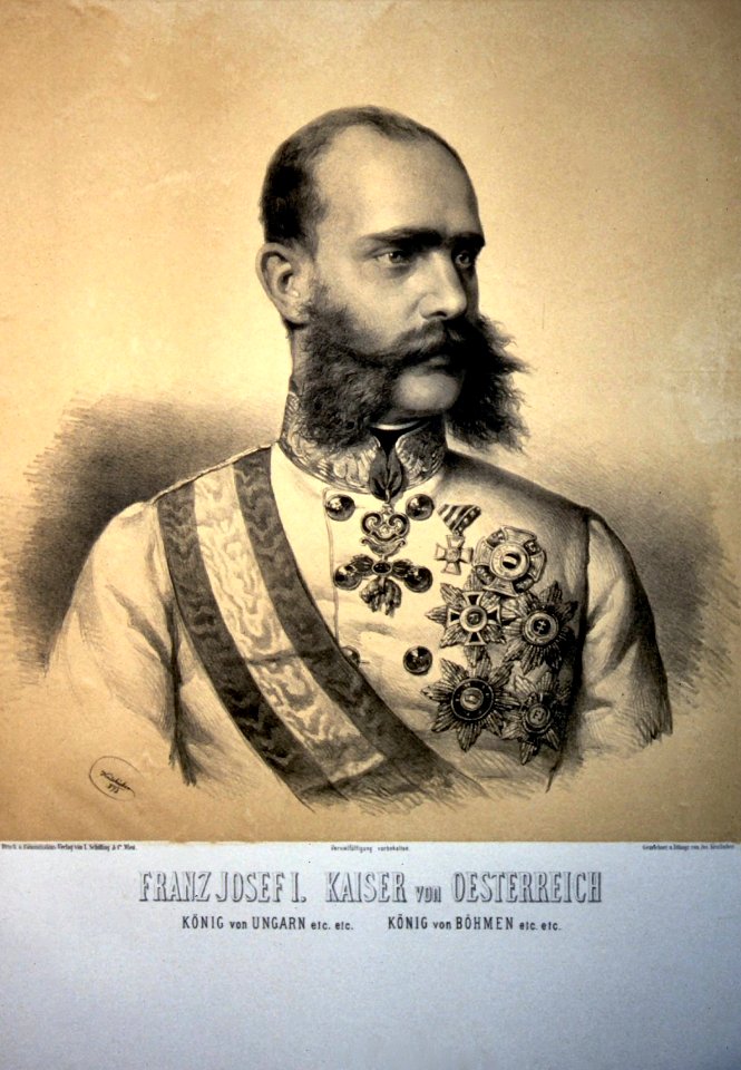 Franz Josef I. 1873 Litho