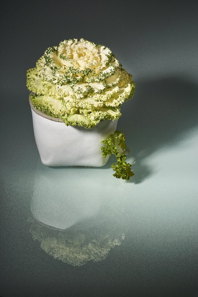 Bud leaf pot