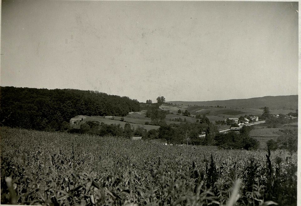 Franztal in der Bukowina (BildID 15715638)