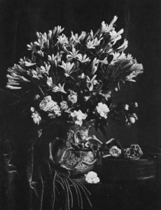 Französischer Photograph um 1865-1870 - Stilleben mit Blumenvase (Zeno Fotografie)