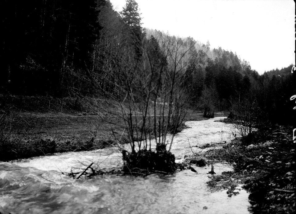 Grenze an der Lützel - CH-BAR - 3236629