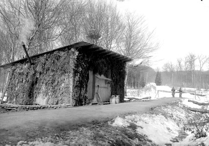 Grenzwachthütte an der elsässischen Grenze - CH-BAR - 3238267
