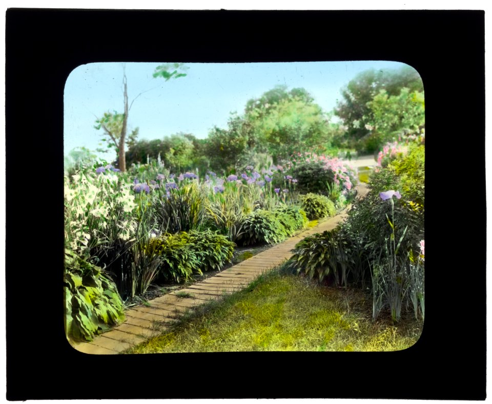 Grey-Croft, Stephen Swete Cummins house, Huntting Lane, East Hampton, New York. Japanese iris garden, pathway LCCN2008675719