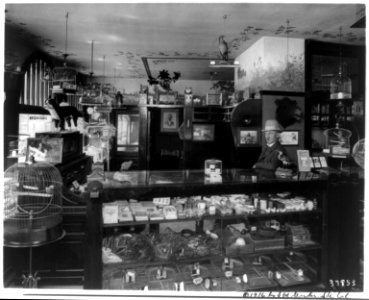 Grider's Birdland Library LCCN2002708809