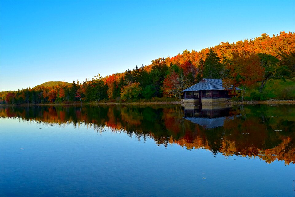 House reflection nature