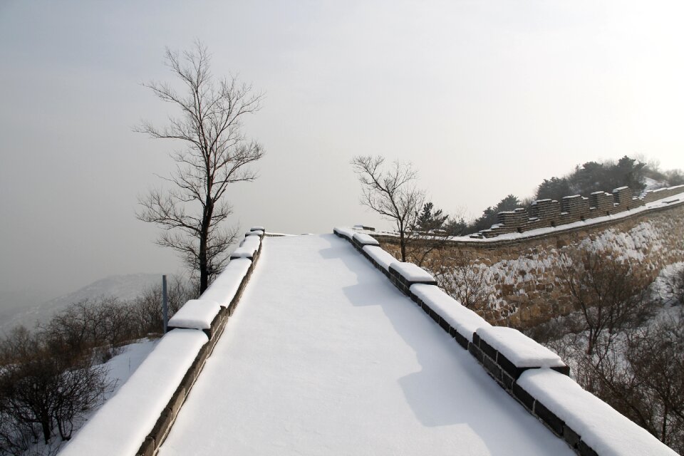 Tree nature badaling great wall in snow