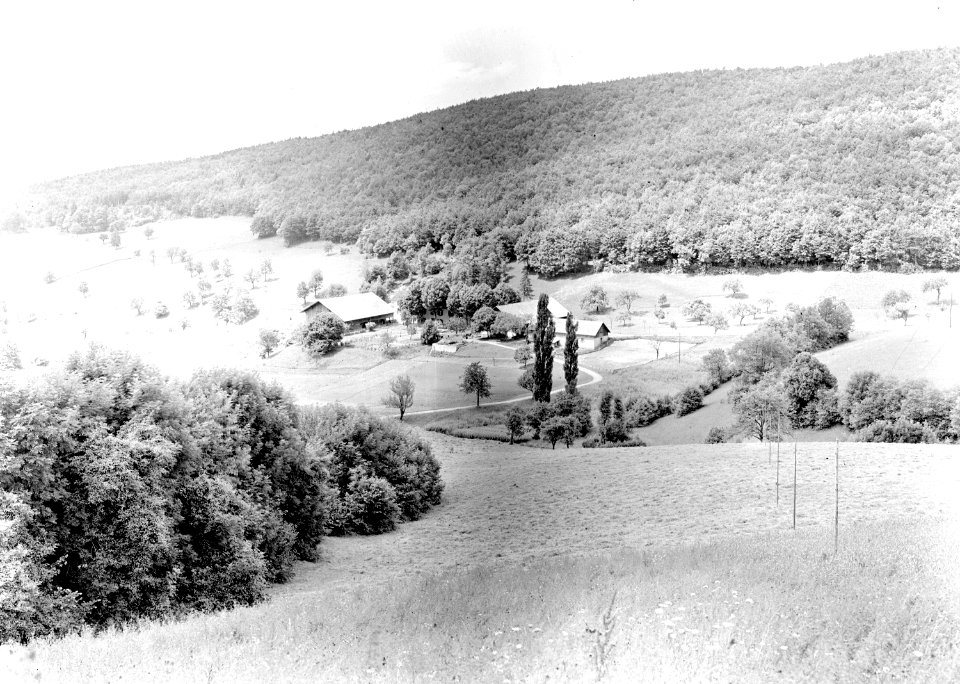 Grosses Bauerngehöft - CH-BAR - 3240585