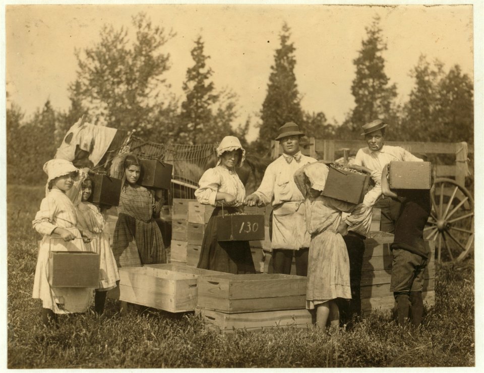 Group of children carrying in their pecks to the 'bushel man.' We measured one of these peck boxes and found it contained 10 quarts instead of 8. Theodore Budd's Bog at Turkeytown near LOC nclc.00043