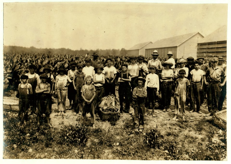 Group of field-workers at Huttings Tobacco Farm. One of 9 years, two of 11 years, 8 of 12 years, 5 of 13 years, 3 of 14 years, 1 of 15. Four of 11 and 12 had gone home and were not counted. LOC nclc.00739