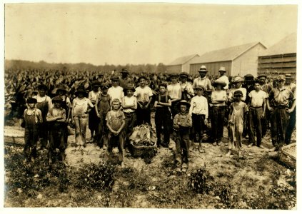 Group of field-workers at Huttings Tobacco Farm. One of 9 years, two of 11 years, 8 of 12 years, 5 of 13 years, 3 of 14 years, 1 of 15. Four of 11 and 12 had gone home and were not counted. LOC nclc.00739
