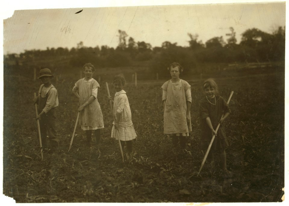 Group of children, 7-9-11-13-14 years old, hoeing corn for father on farm near Menomonee Falls, Wisconsin, Joe Umhoefer. See Hine Report, Wisconsin Sugar Beet, July 1915. LOC nclc.00284