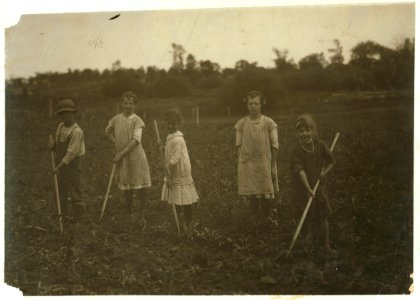 Group of children, 7-9-11-13-14 years old, hoeing corn for father on farm near Menomonee Falls, Wisconsin, Joe Umhoefer. See Hine Report, Wisconsin Sugar Beet, July 1915. LOC nclc.00284